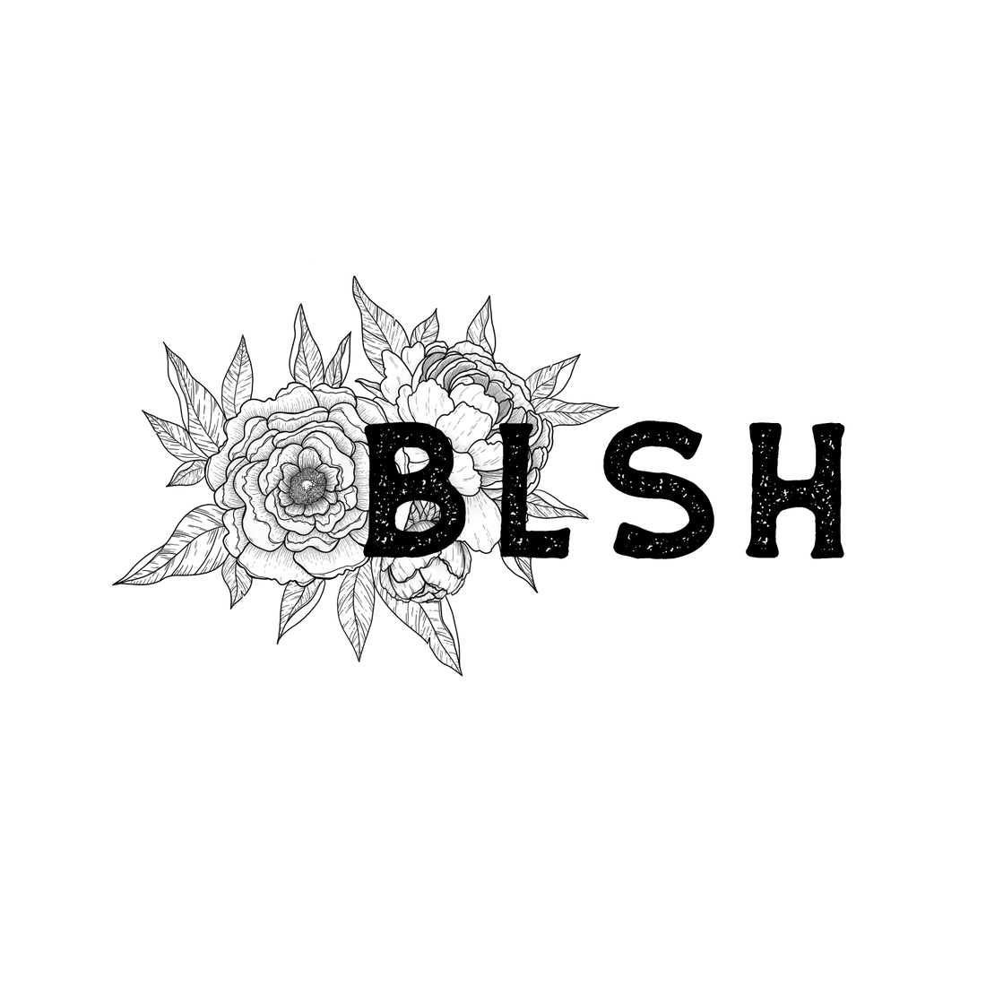 Welcome to the BLSH Blog