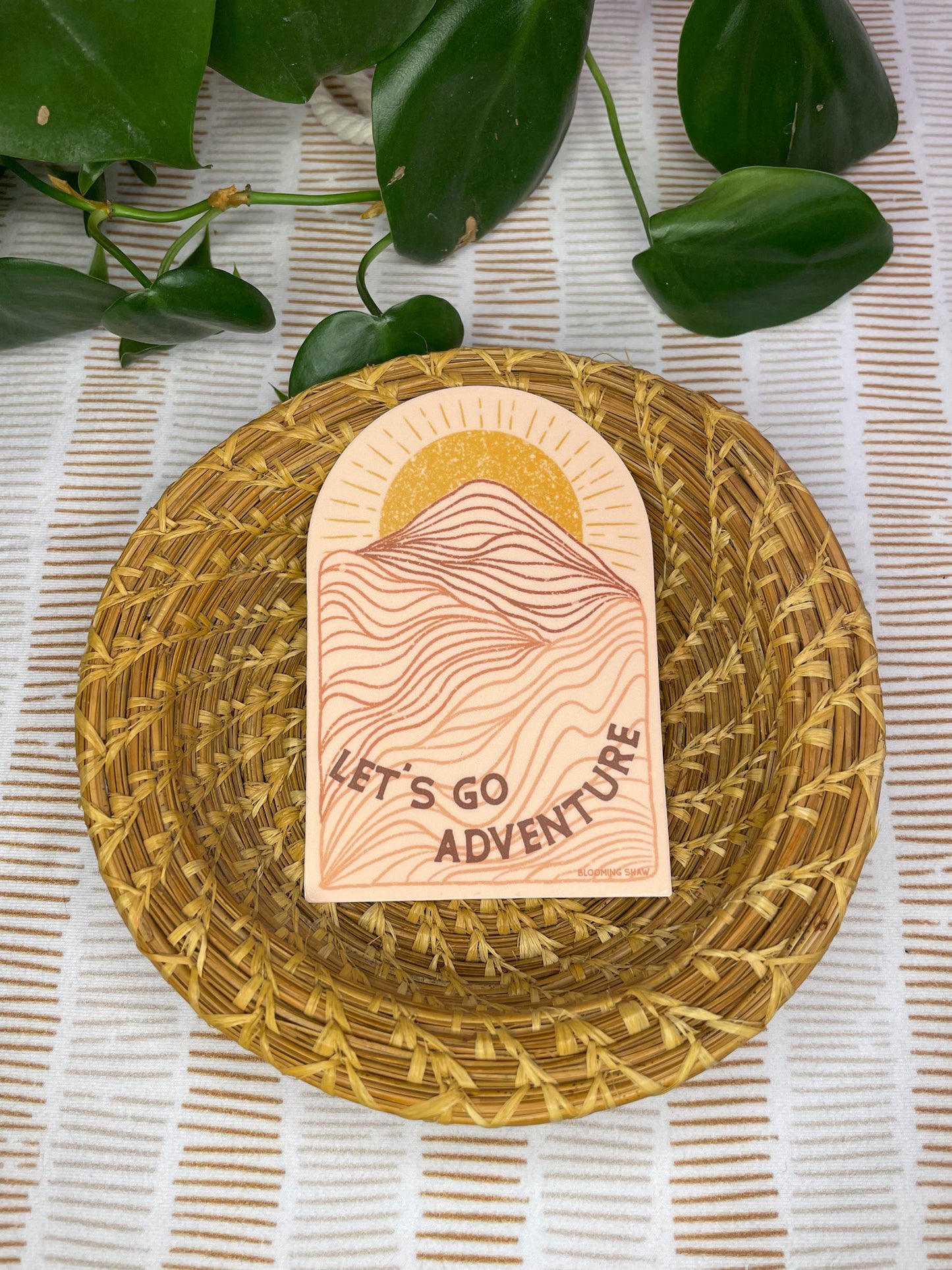 "Let's Go Adventure" Tonal Pink Topo Mountains on Pink, 2.58" x 3.75"