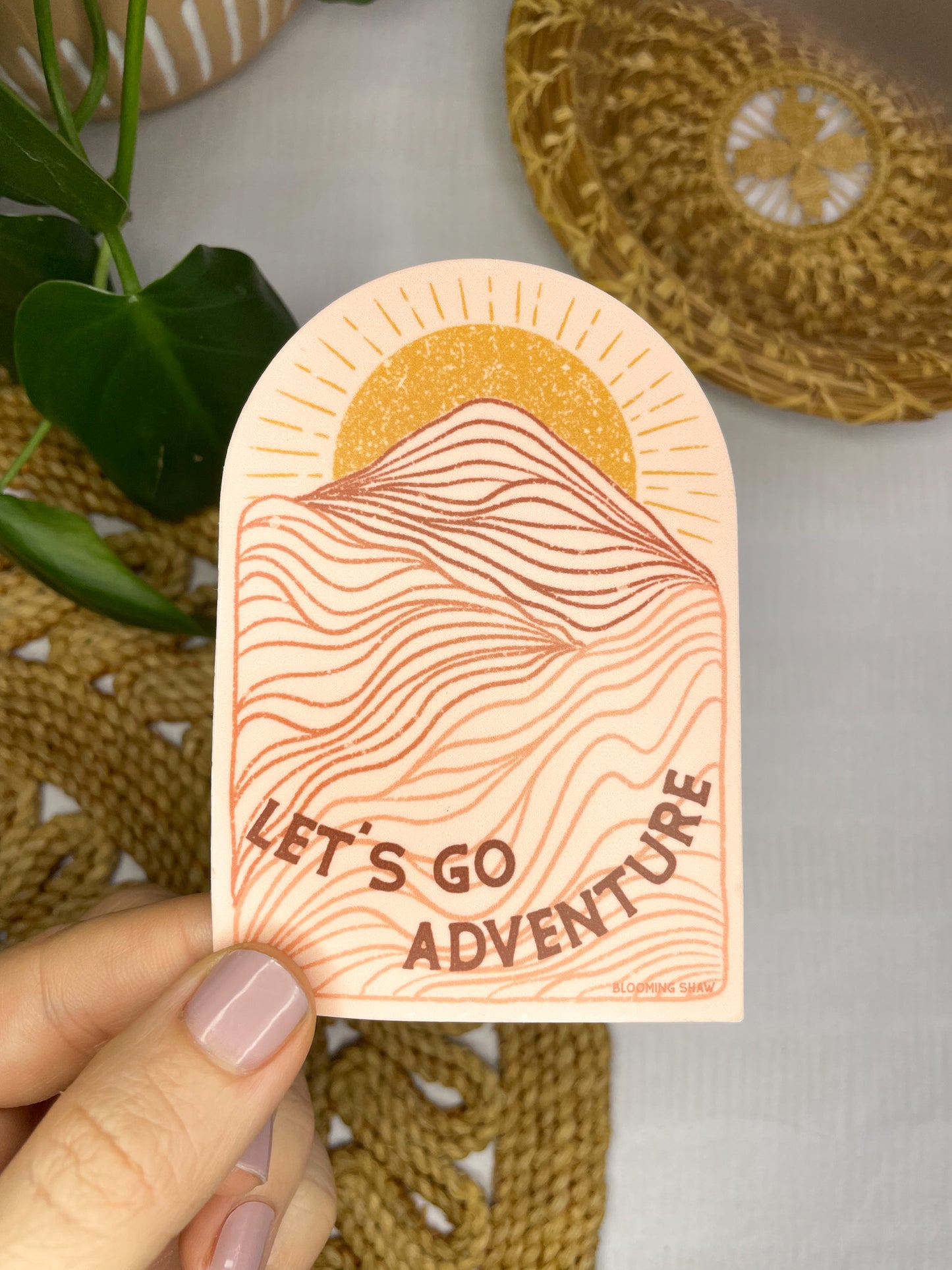 "Let's Go Adventure" Tonal Pink Topo Mountains on Pink, 2.58" x 3.75"